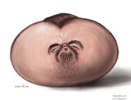 leonardo dicaprio caricature svetlana novikova